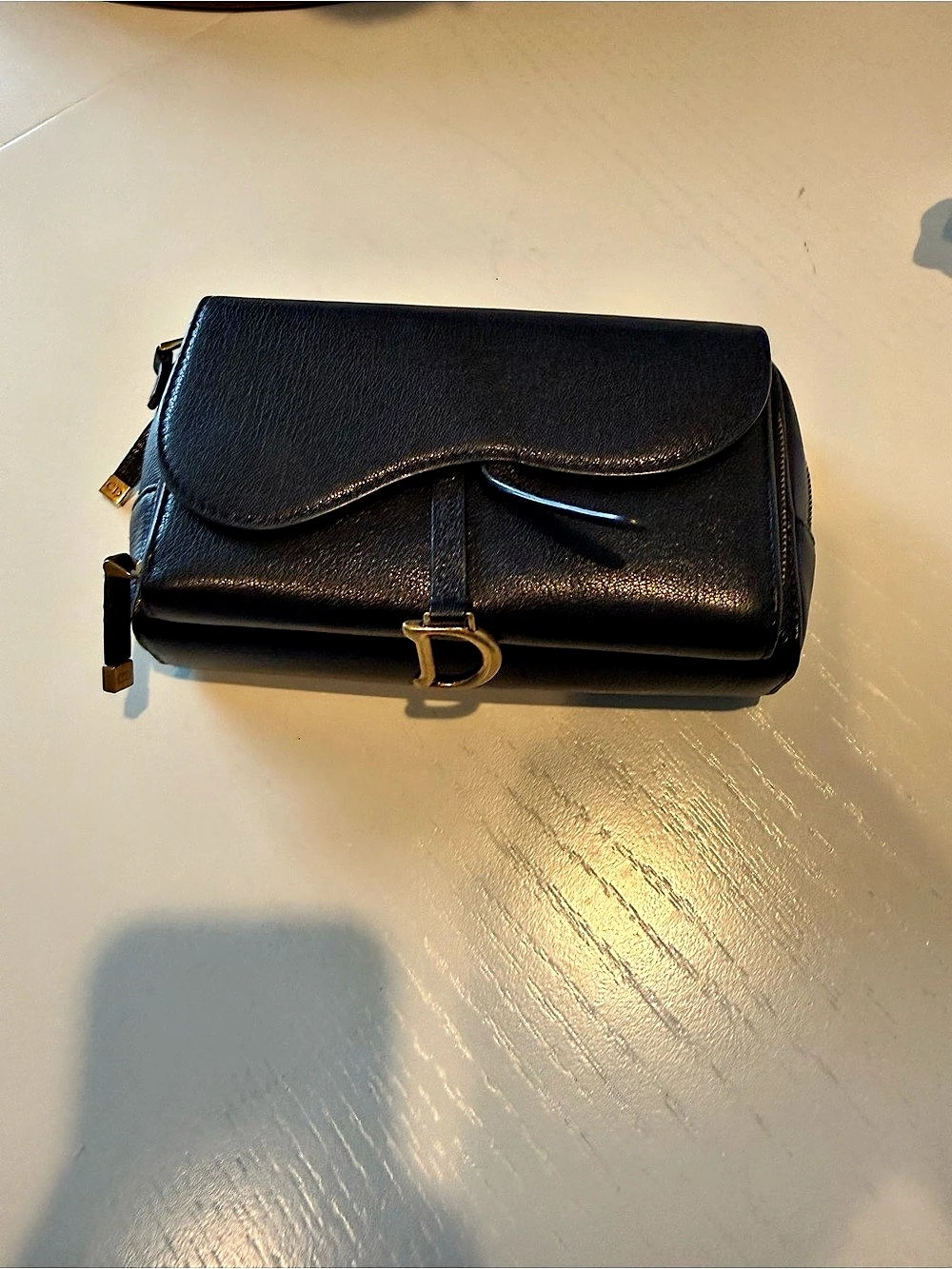 Dior Double saddle bag crossbody